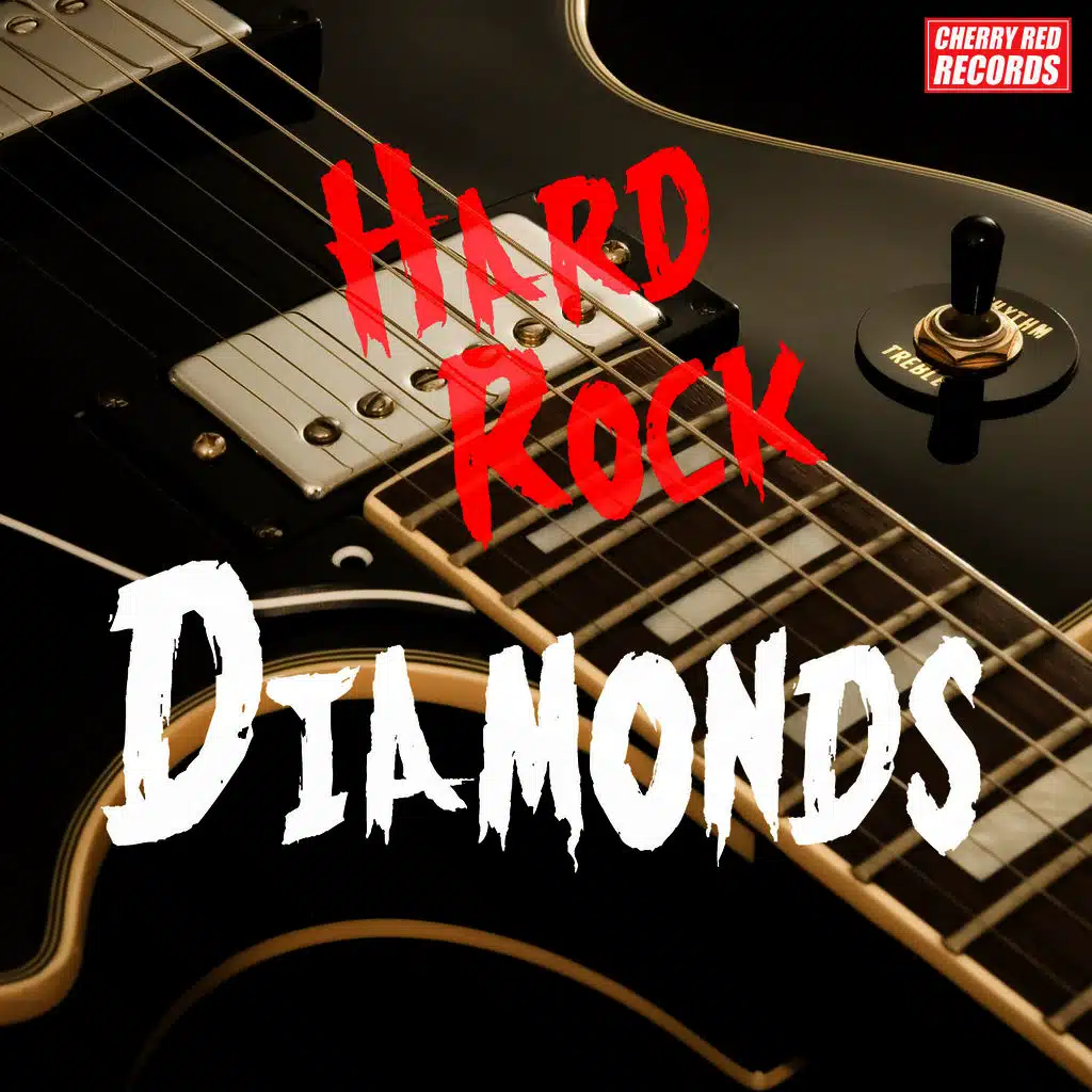 Can't Stand Rock 'N' Roll