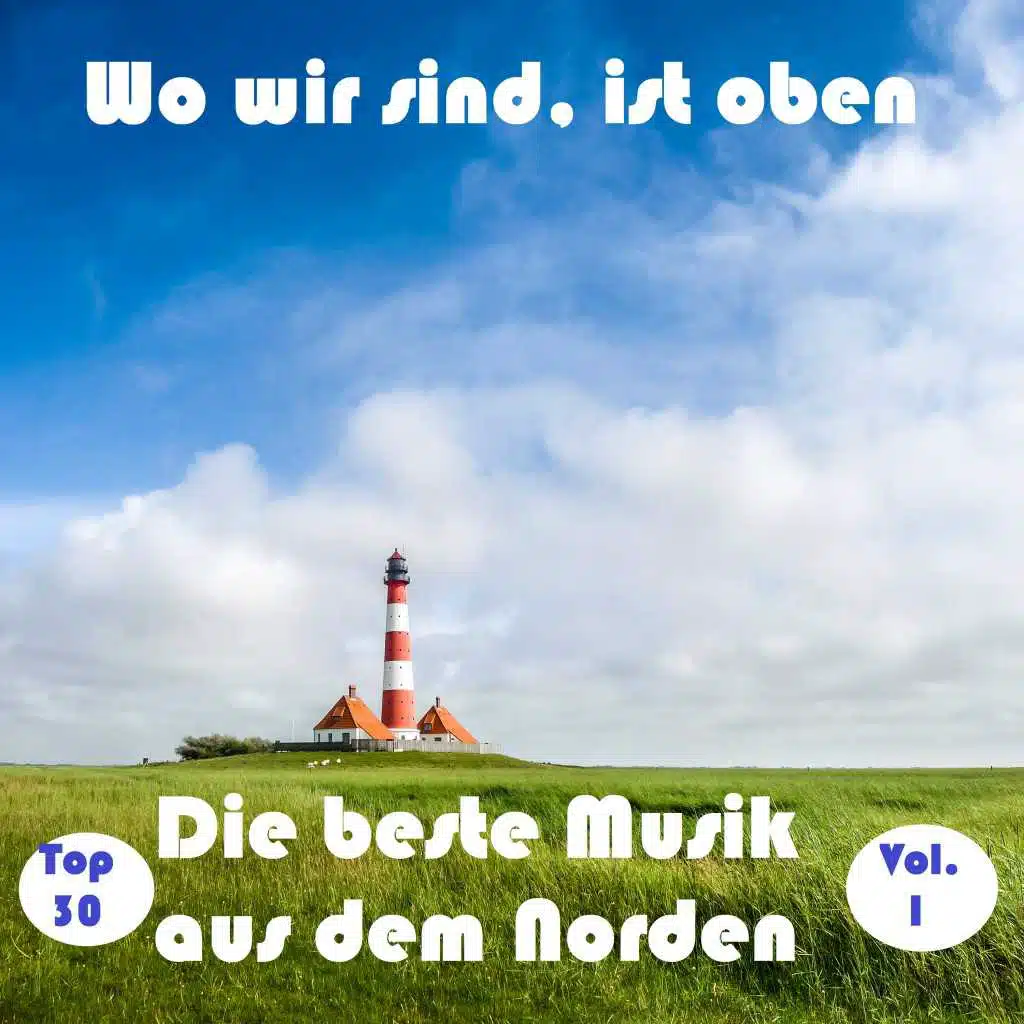 Top 30: Wo wir sind, ist oben - Die beste Musik aus dem Norden, Vol. 1
