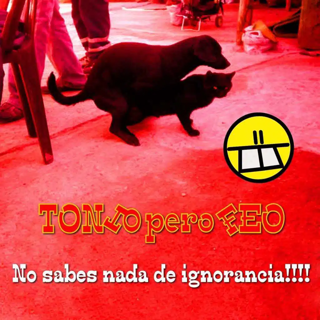 No Sabes Nada de Ignorancia!!!
