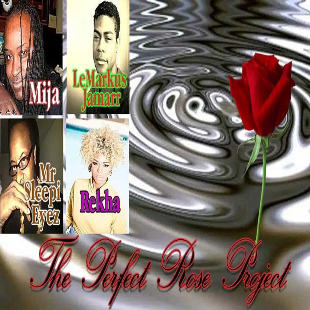 The Perfect Rose Project