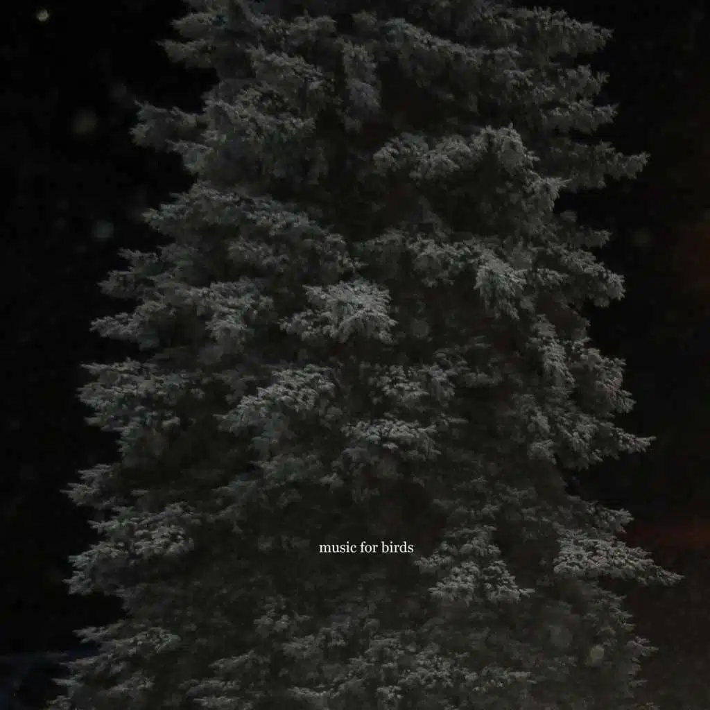 Music for Birds
