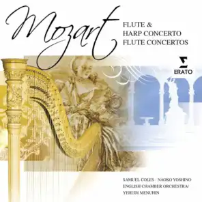 Concerto for Flute and Harp in C Major, K. 299 / 297c: II. Andantino