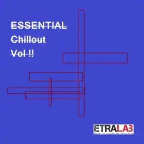Essential Chillout Vol. 2