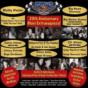 Topcat Records 20th Anniversary Blues Extravaganza!
