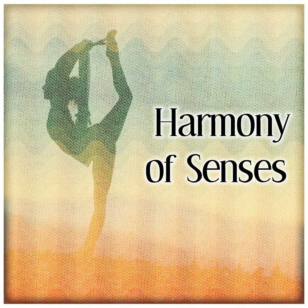 Harmony of Senses – Free Your Spirit, Spiritual Calmness, Sound Healing Meditation, Zen Meditation