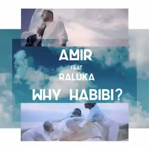 Why Habibi? (feat. Raluka)