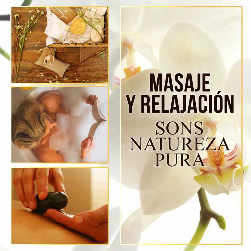 Masaje y Relajación: Sons Natureza Pura, Música para Spa, Relajar el Cuerpo y el Alma, Aromaterapia Reflexología y Reiki, La Música para Ayurveda Yoga y se Calmen, Bienestar y SPA, Meditación
