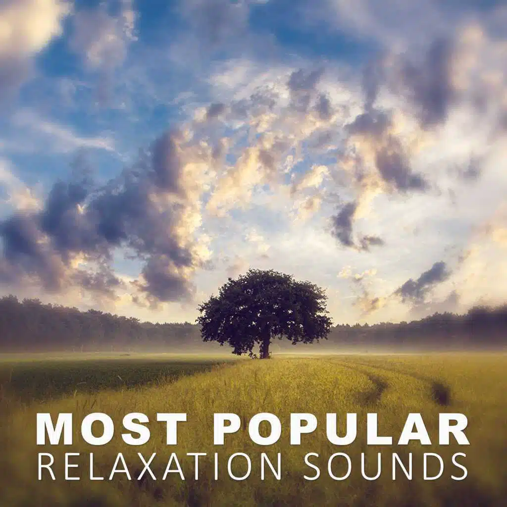 Most Popular Relaxation Sounds – Best Relaxation Sounds with Water & Nature Sounds