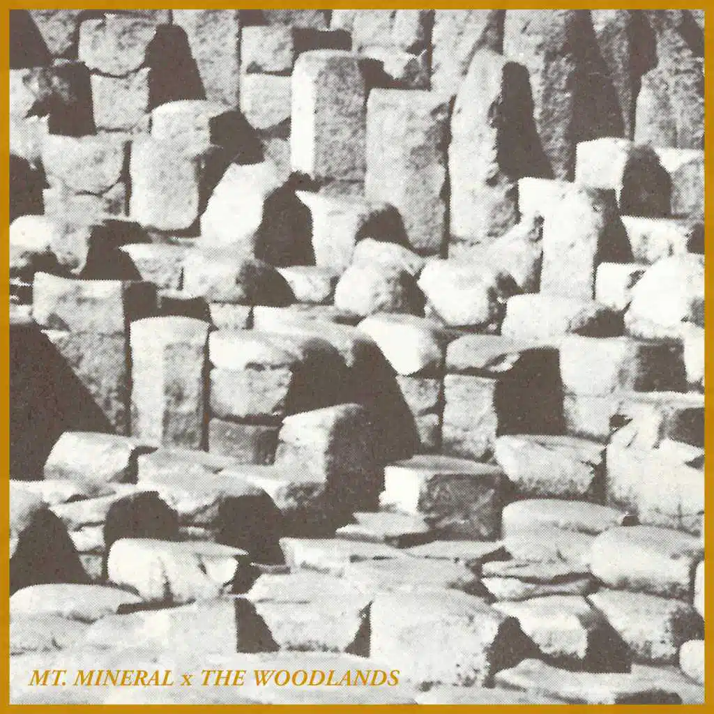 Making Love On The Mountain (Mt. Mineral Remix) (Instrumental)