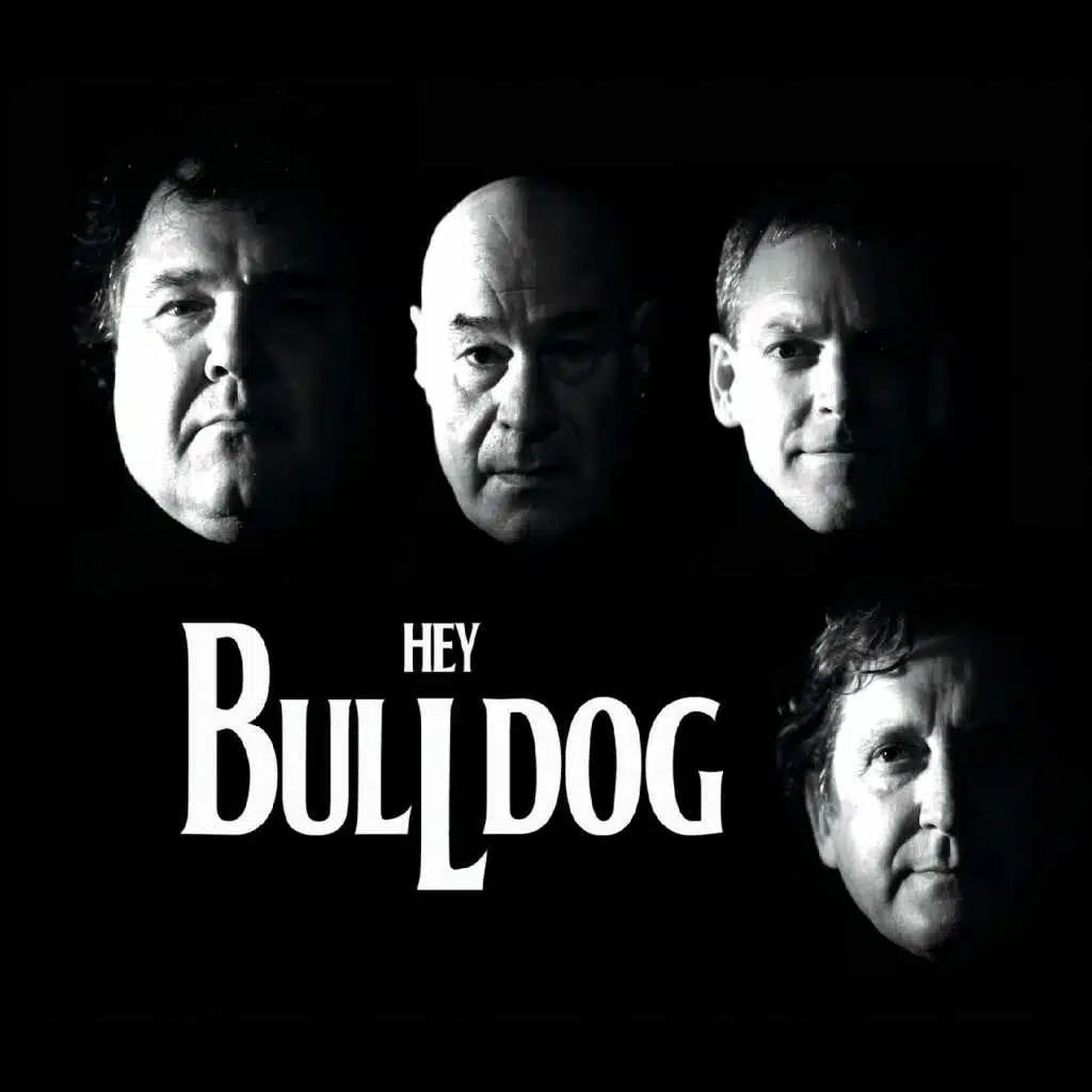 Hey Bulldog