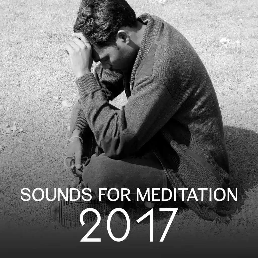 Sounds for Meditation 2017 - Music for Yoga Therapy, Healing Sounds for Total Relaxing, Blissful Meditation Brings Stress Relief