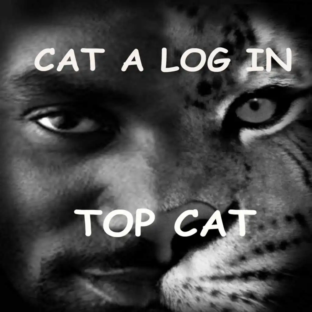 Cat A Log In