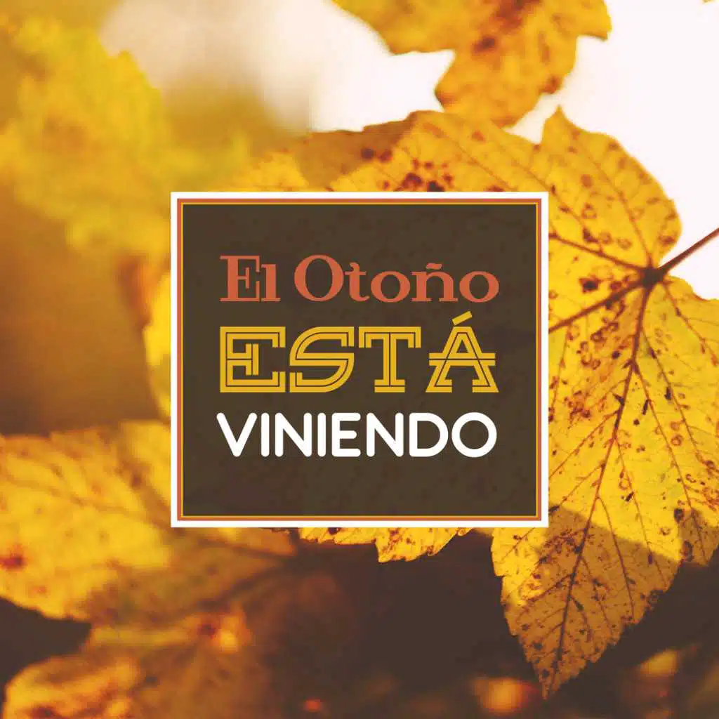 El Otoño Está Viniendo - Relajación Música, Chakra Equilibrio, Yoga Fondo, Meditación, Zen Estado