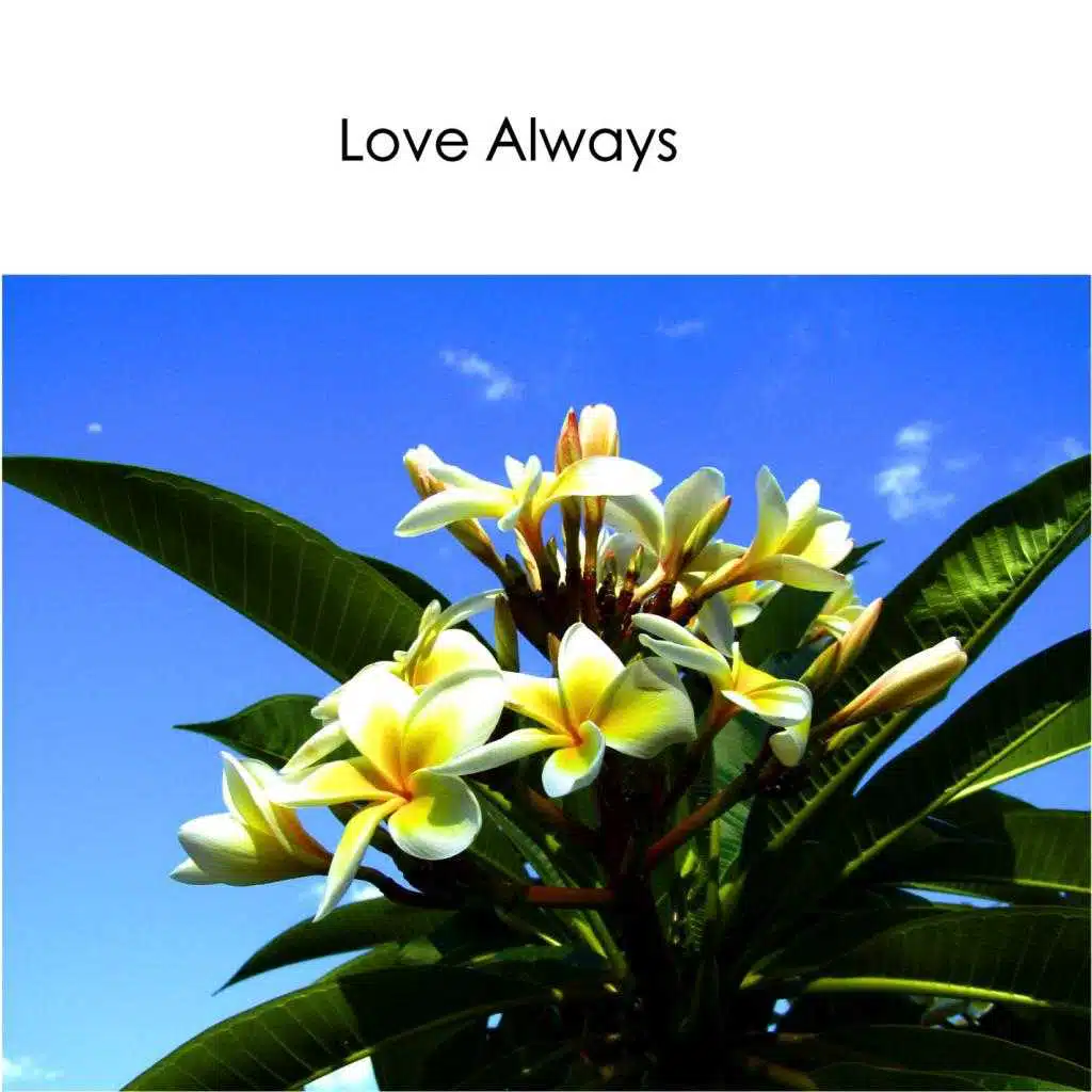 Love Always (Solo Piano Instrumental)