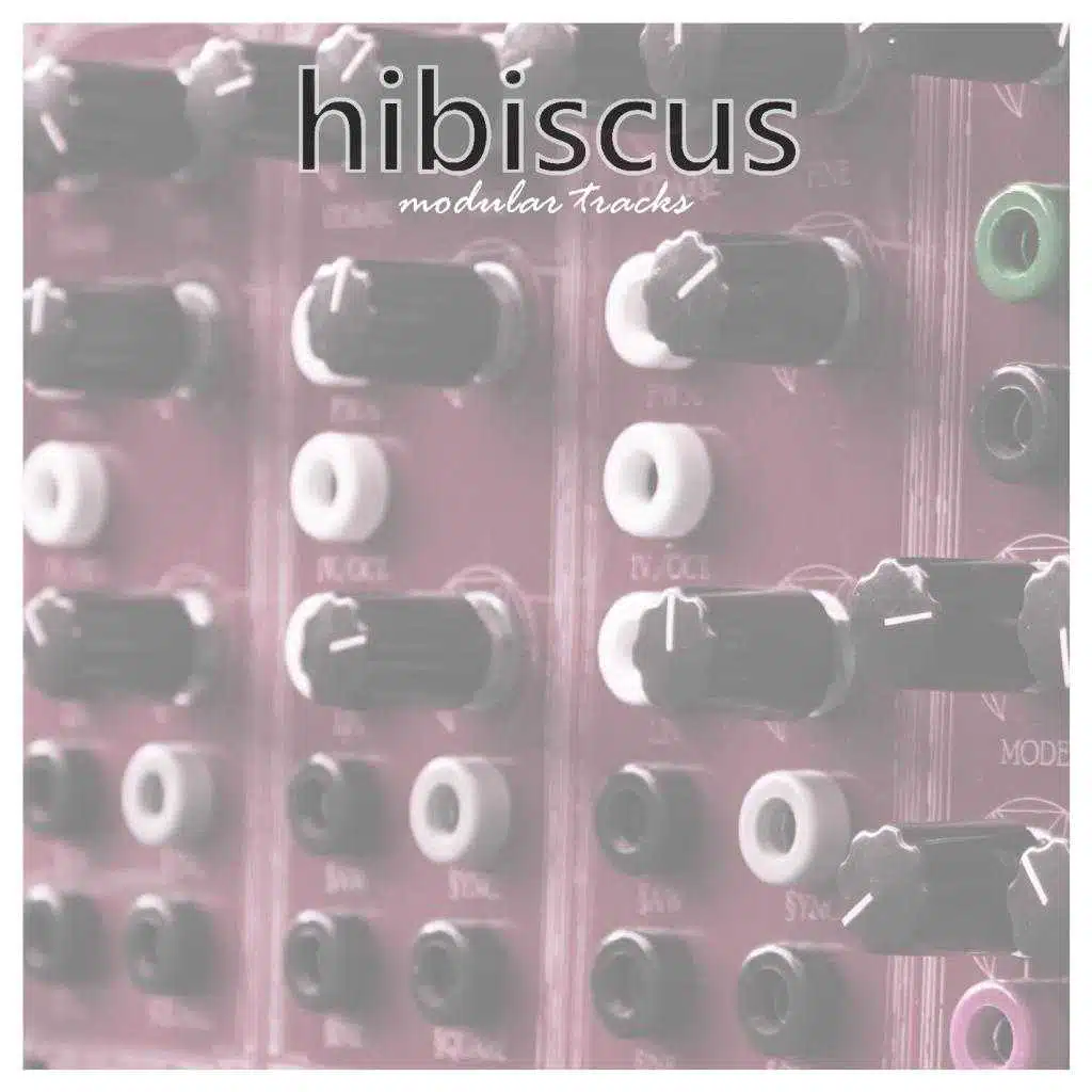 hibiscus modular tracks