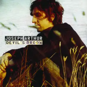 Devil's Broom (7")