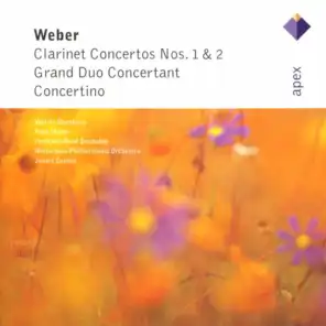 Clarinet Concerto No. 1 in F Minor, Op. 73, J. 114: I. Allegro