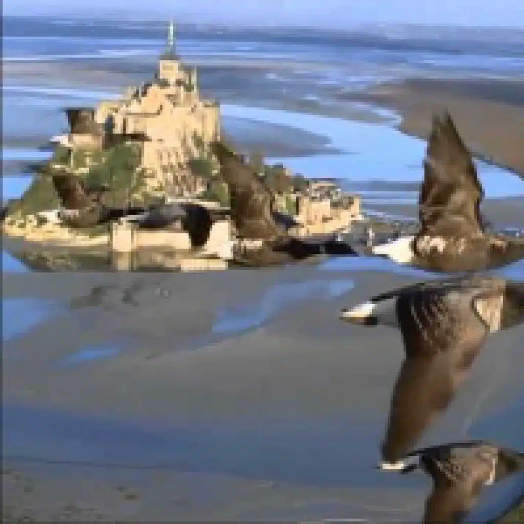 يا رب إليك أصلي