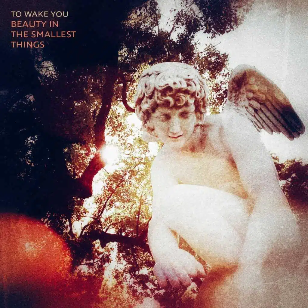 Beauty in the Smallest Things