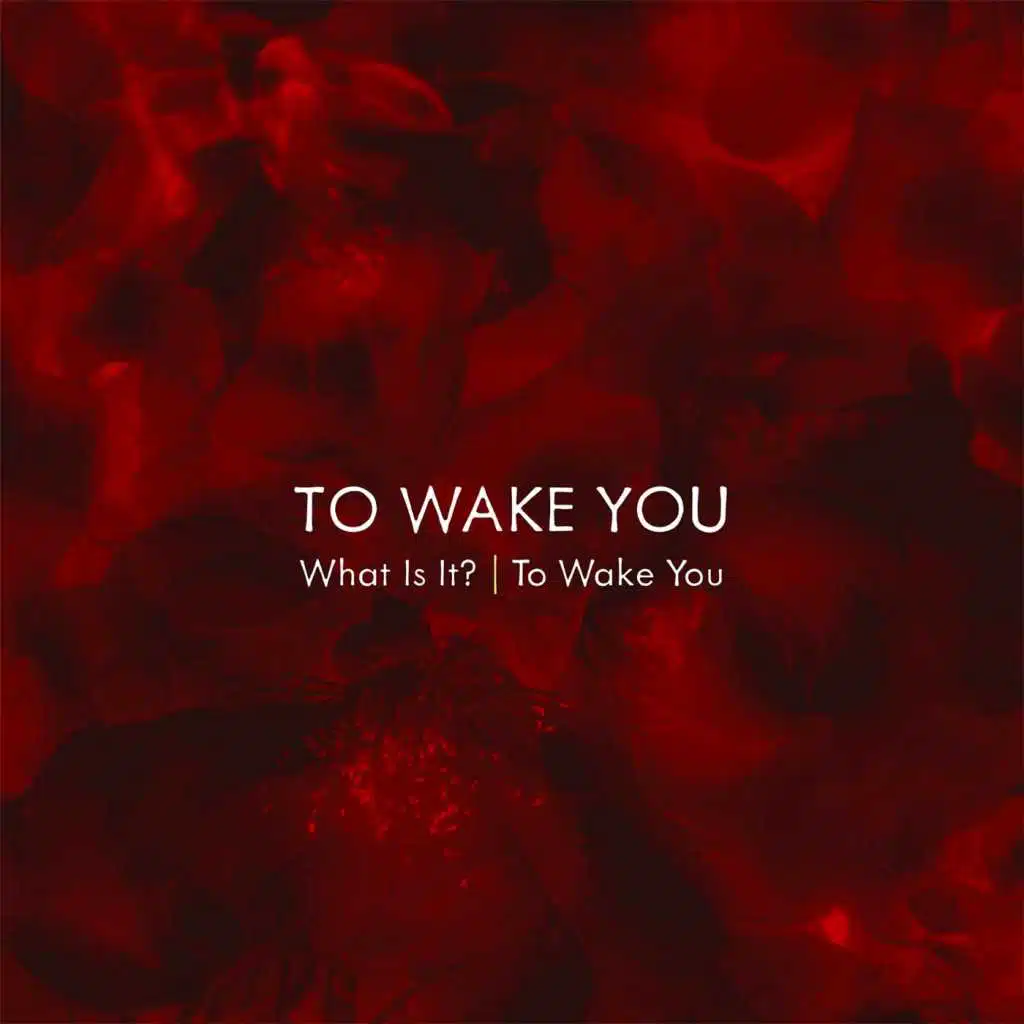 What Is It?/ To Wake You