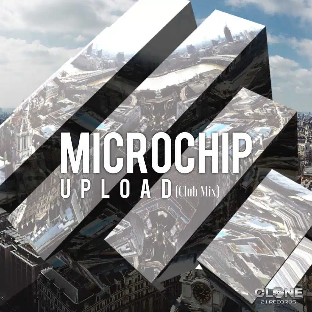 Microchip