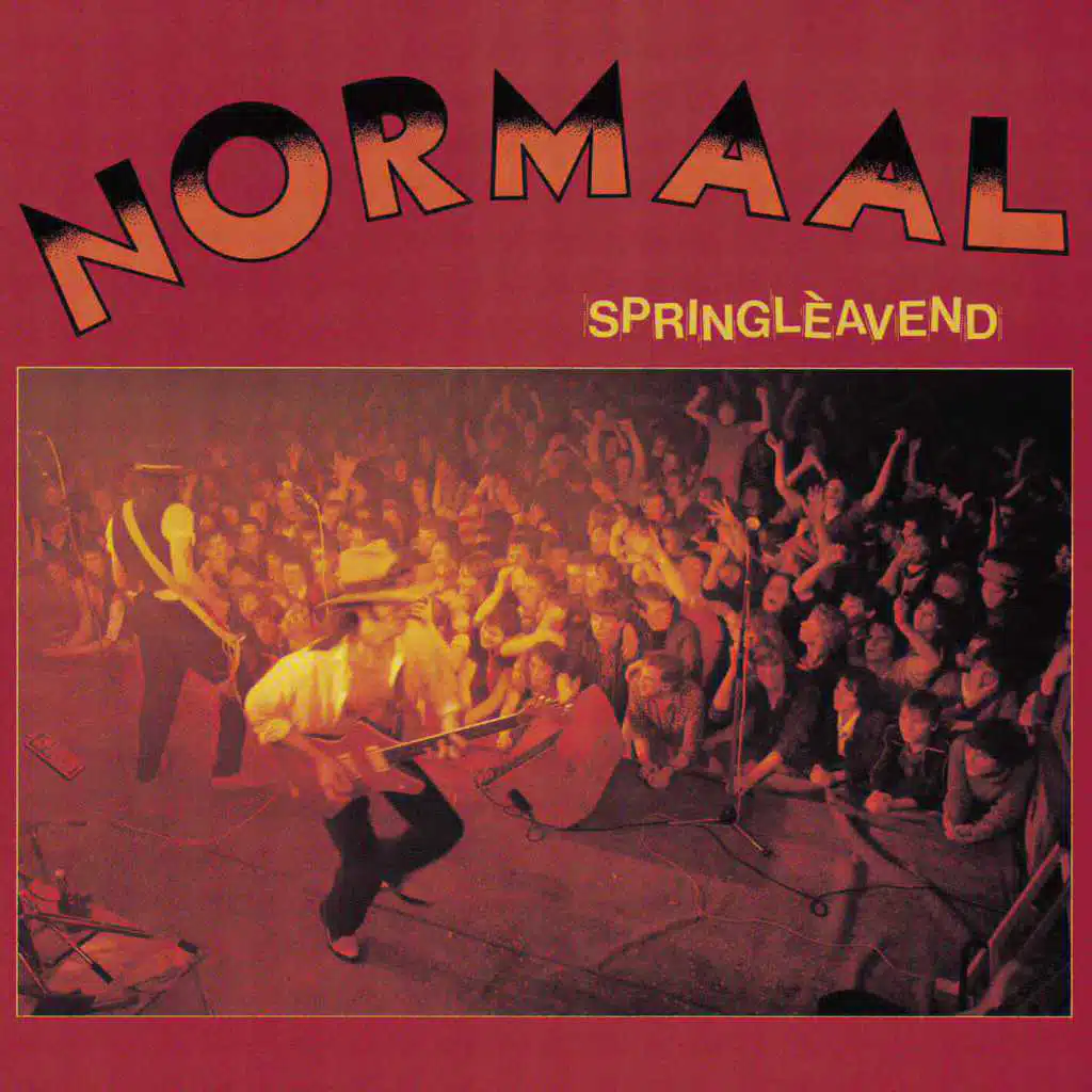 Springlèavend (feat. D.m.c. Baarn)