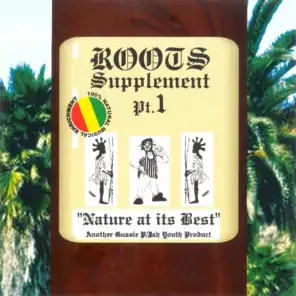Roots Supplement, Pt.1