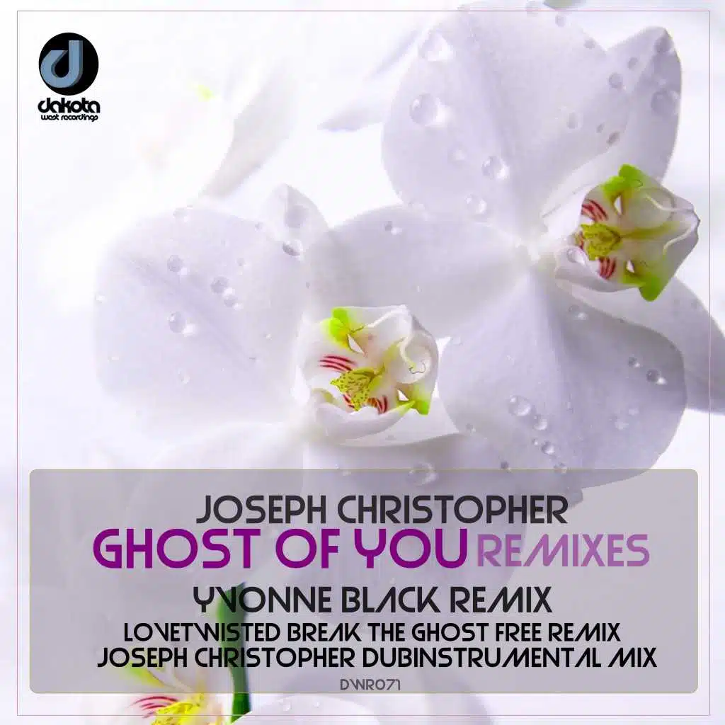 Ghost of You (Lovetwisted Break the Ghost Free Remix)