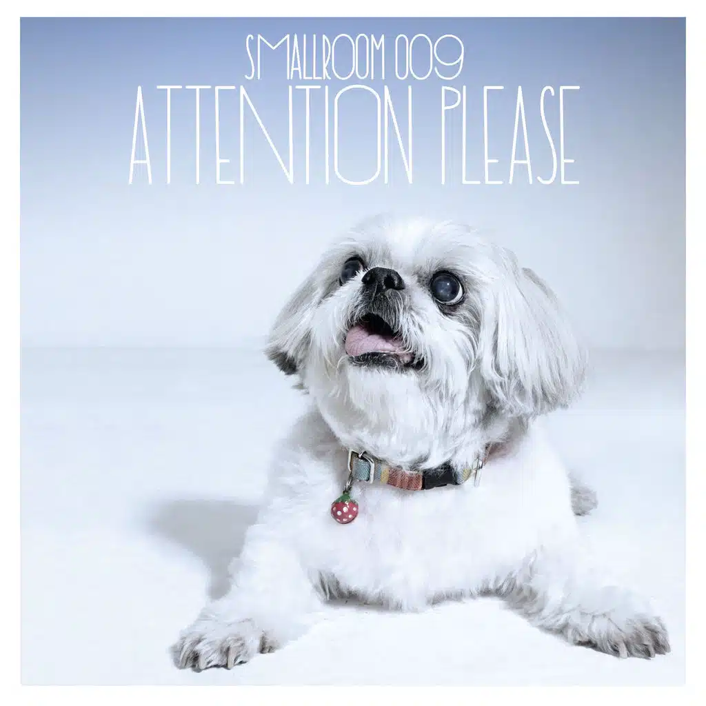 SMALLROOM 009 ATTENTION PLEASE