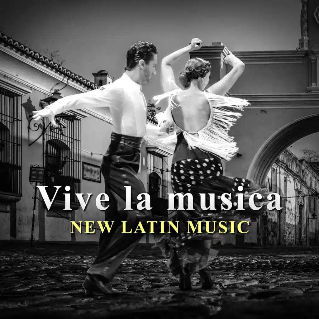 Vive la Musica, New Latin Music