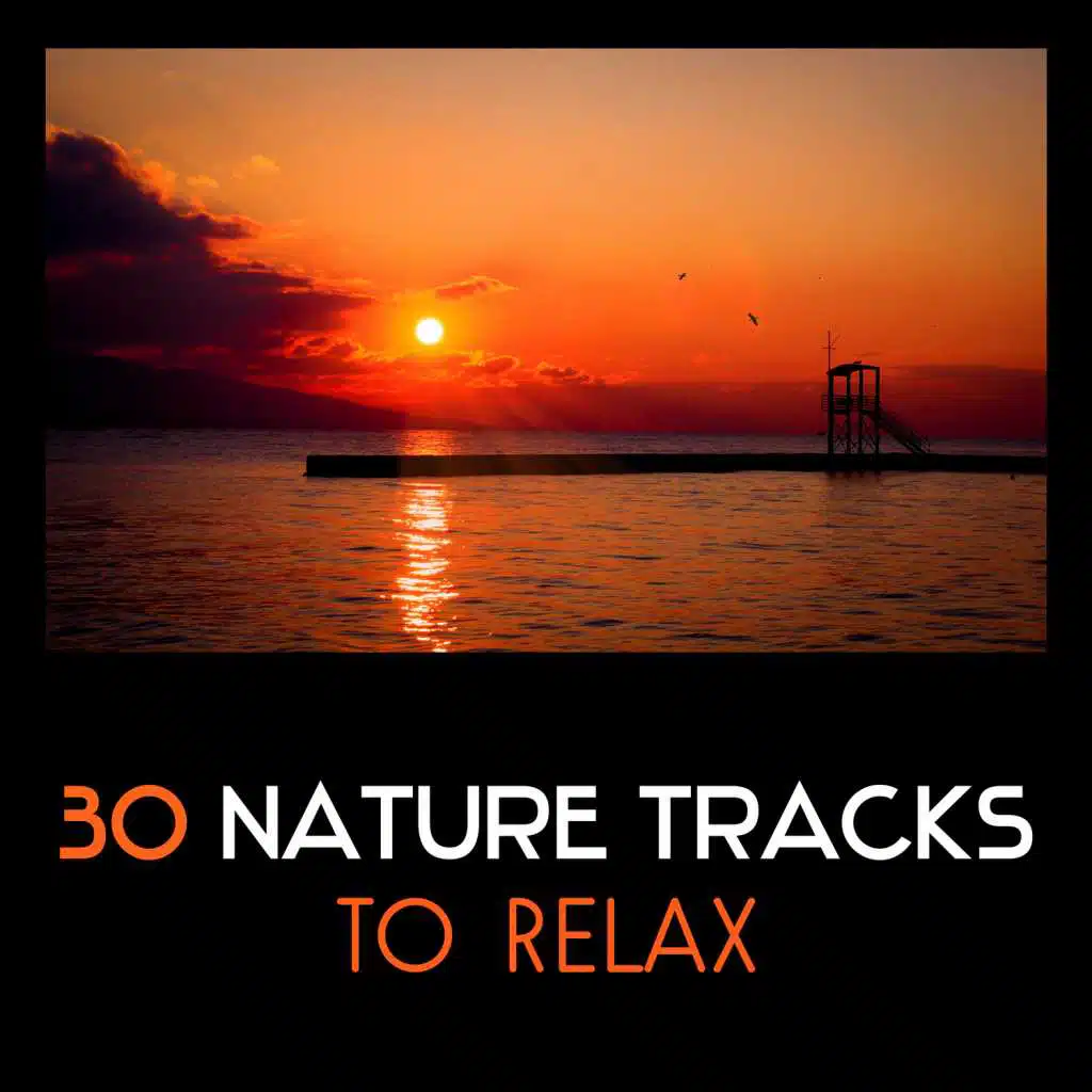 Ambient Water Sounds