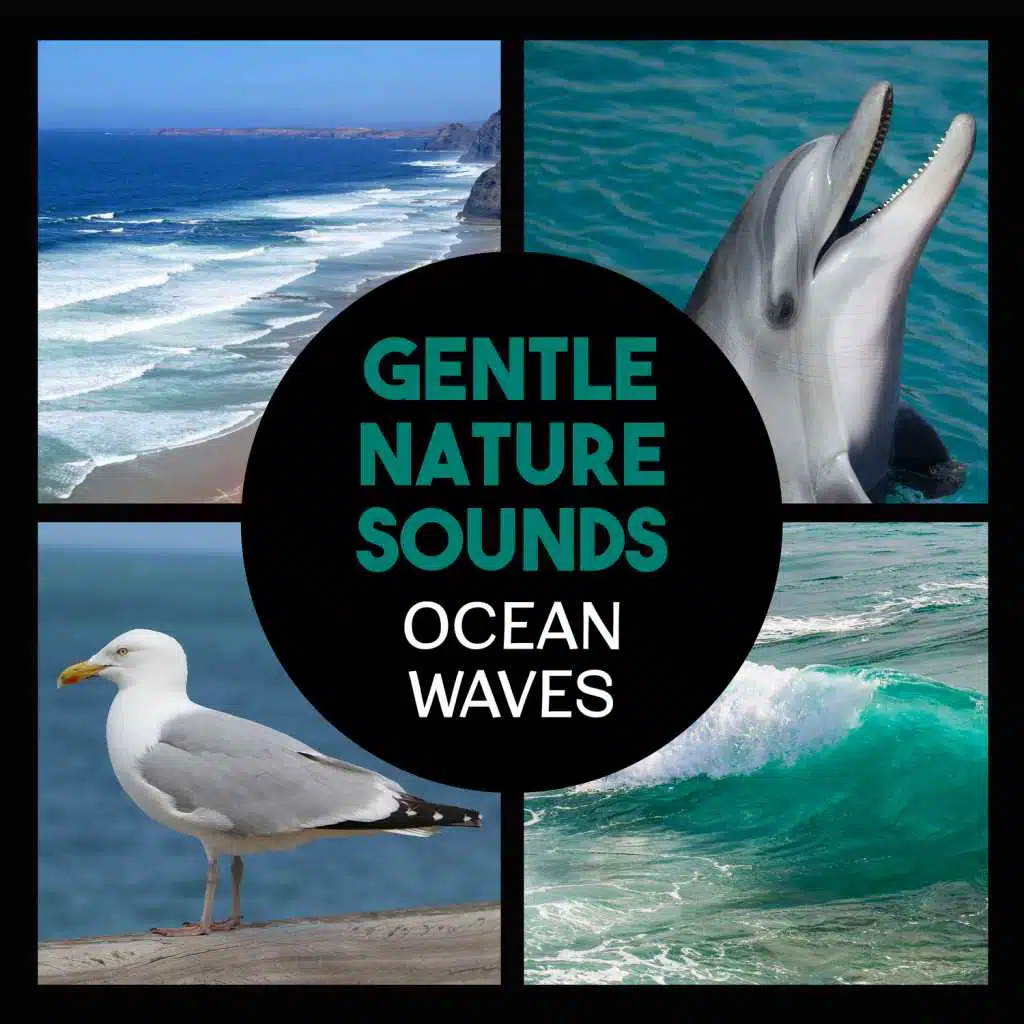 Gentle Nature Sounds – Ocean Waves, Calming Music for Relaxation, Healing Waters, Deep Sleep, Yoga, Zazen Meditation