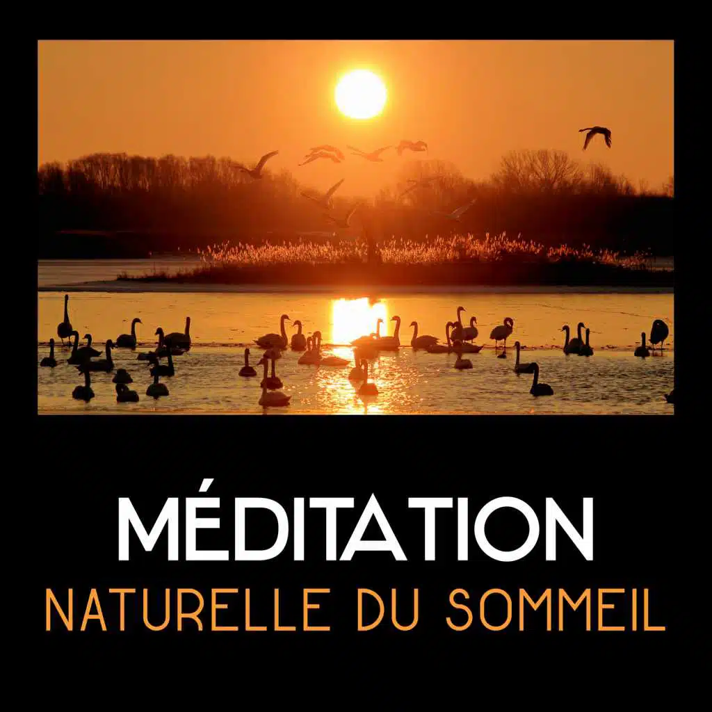 Méditation naturelle du sommeil – Musique calme pour le rêve lucide, ambiance de la nature, paix intérieure, sommeil paisible