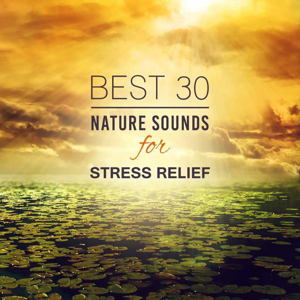 Best 30 Nature Sounds for Stress Relief: Healing Music for Your Body and Soul, Better Mental Health, Deep Relaxation