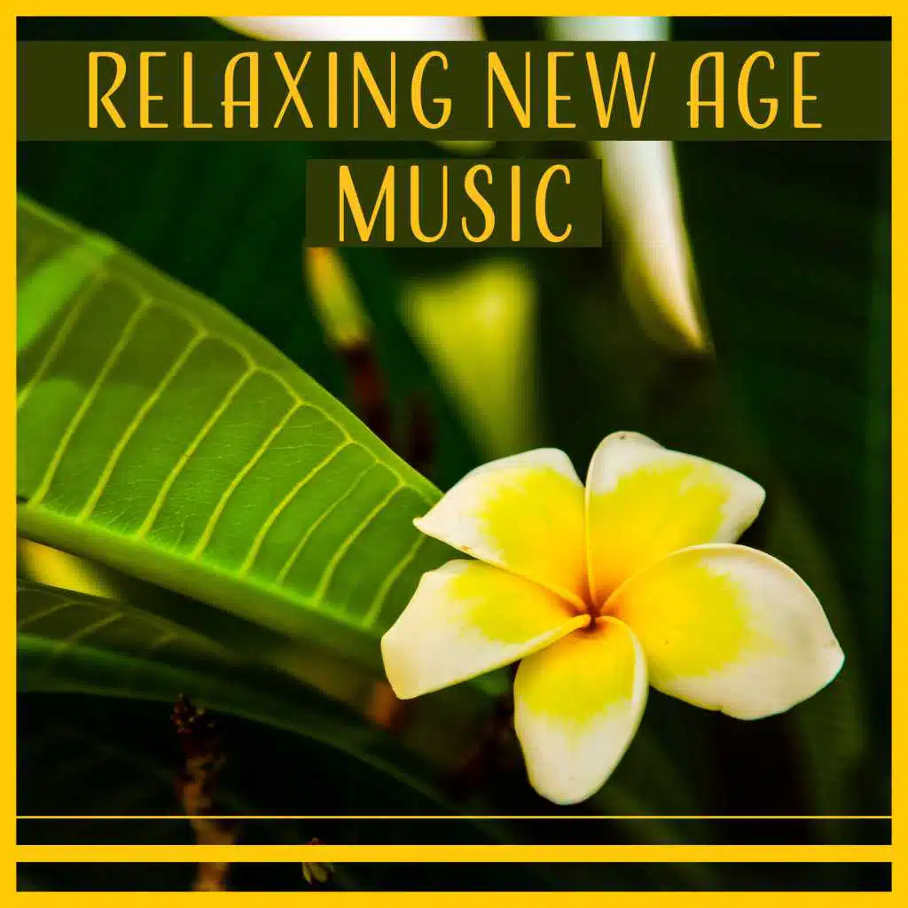 Yoga: Increase Your Flow