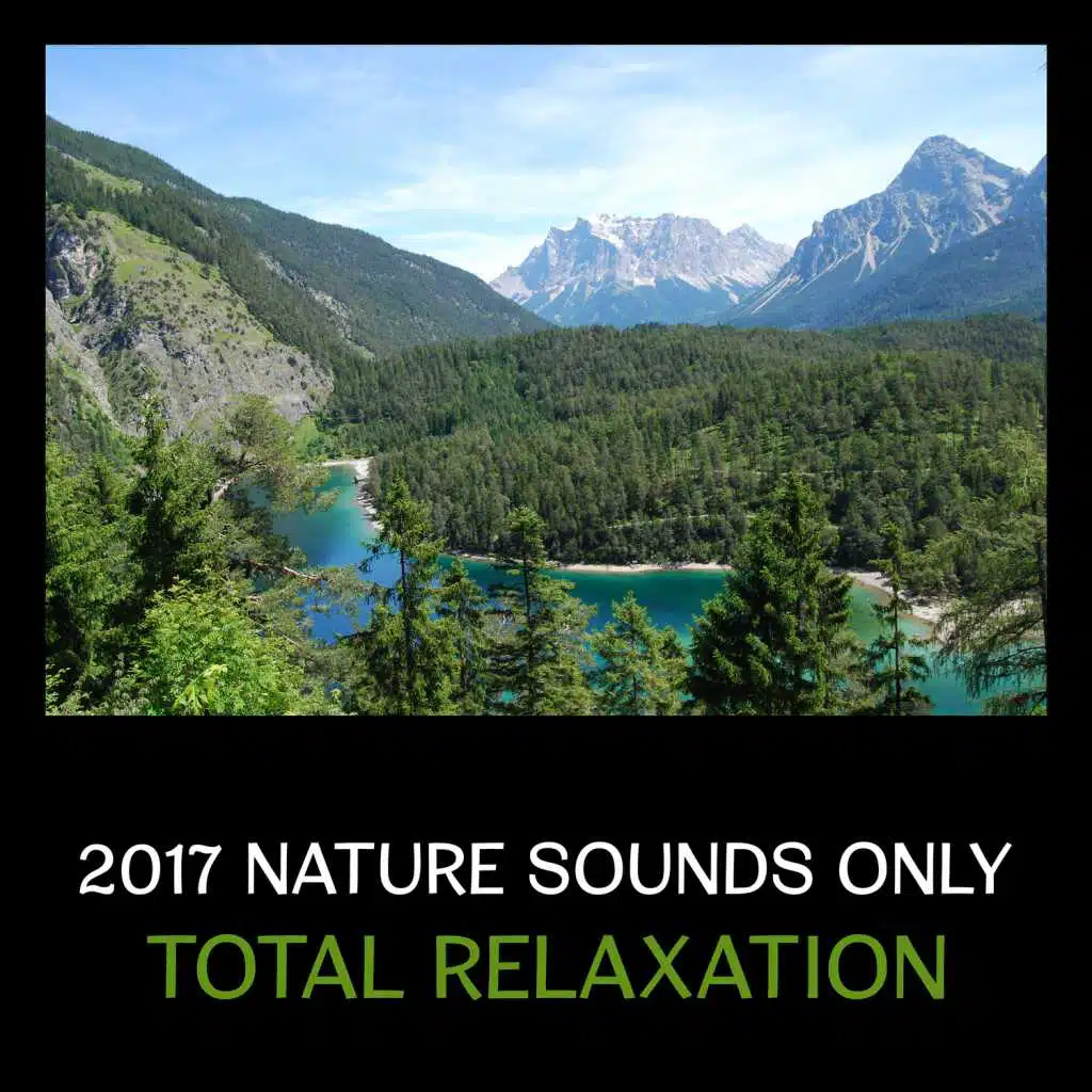 2017 Nature Sounds Only: Total Relaxation, Calming Mindfulness Meditation Music, Peaceful Mind After Long Day