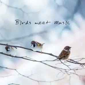 Birds meet Music: 15 Musical Compositions for Sleep, Relaxation and Rest