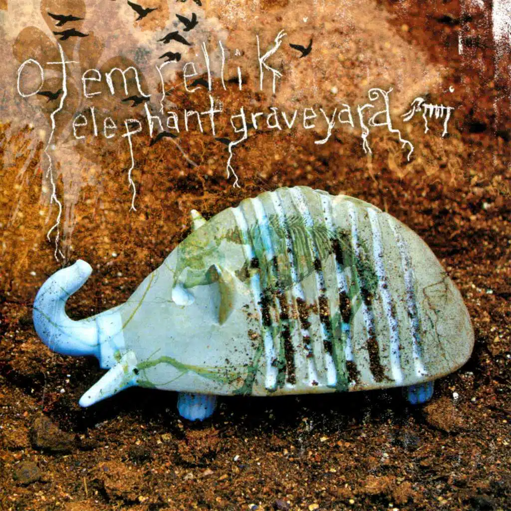Elephant Graveyard