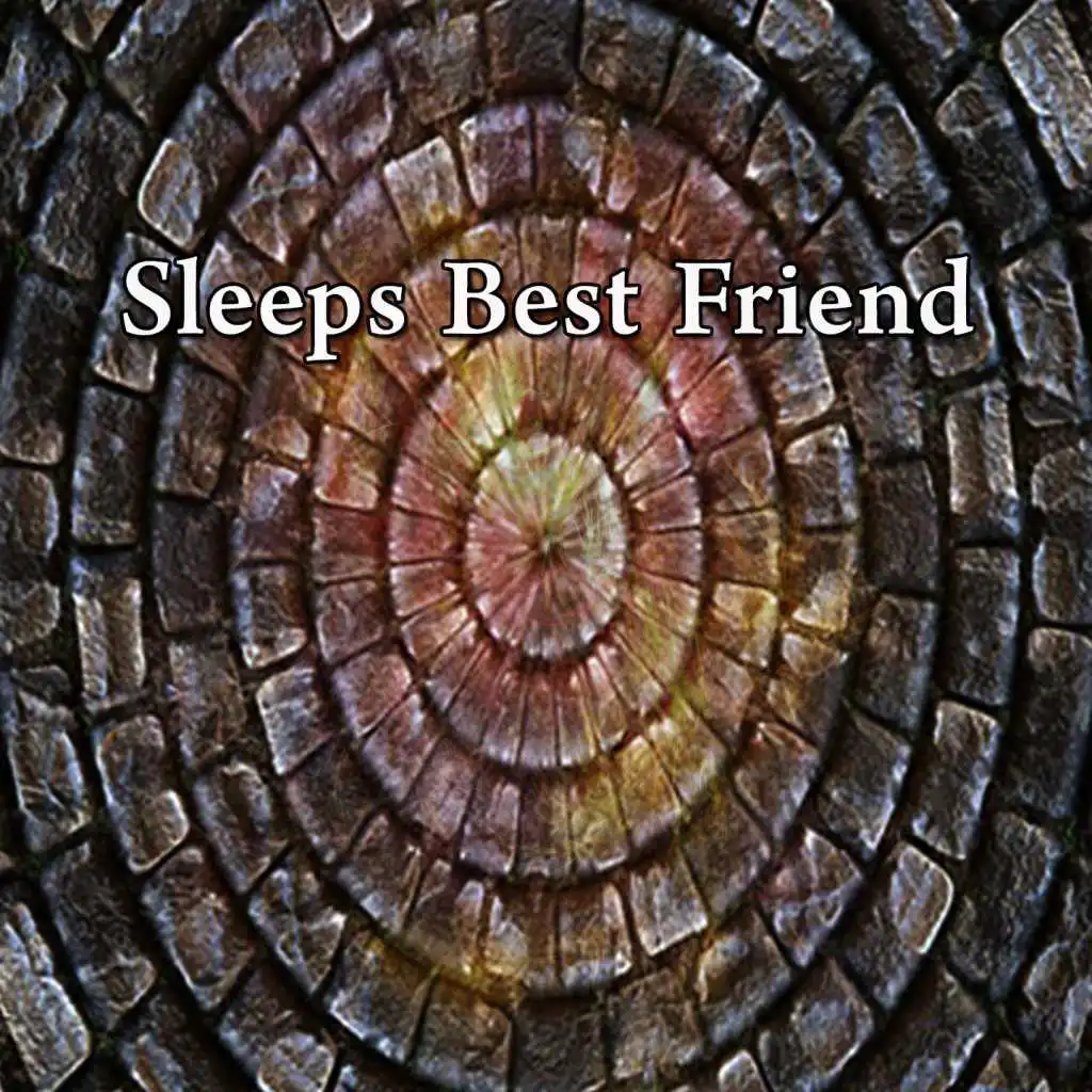 Sleeps Best Friend