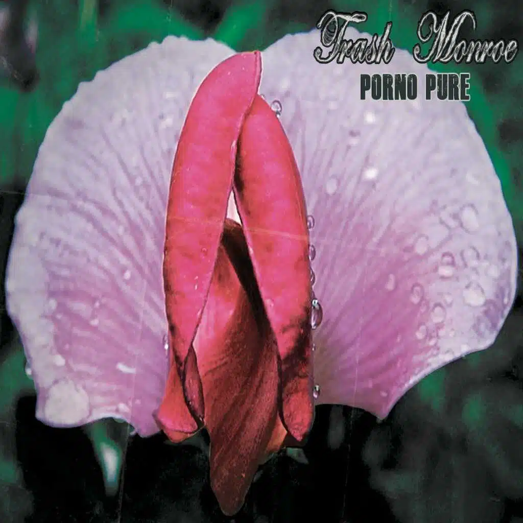 Porno Pure