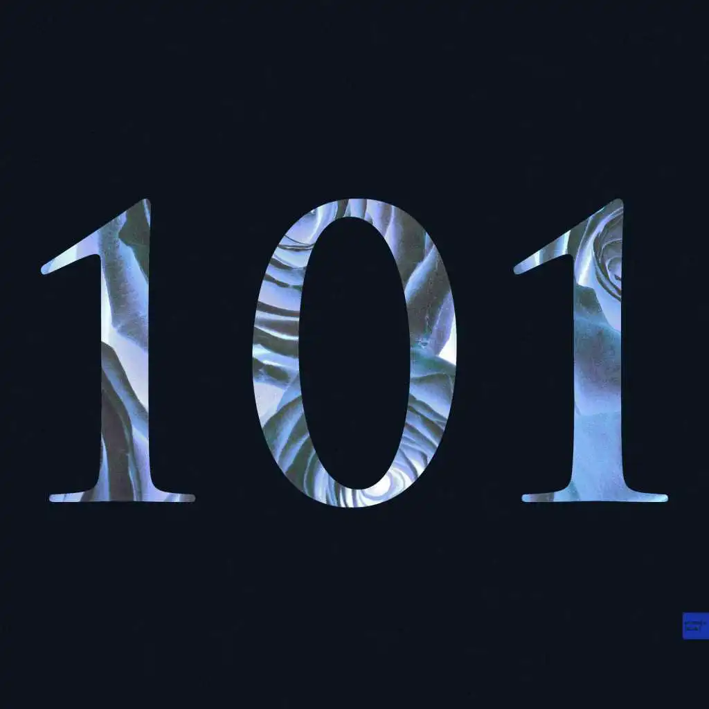 101 Remixes