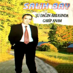 Salih Bay