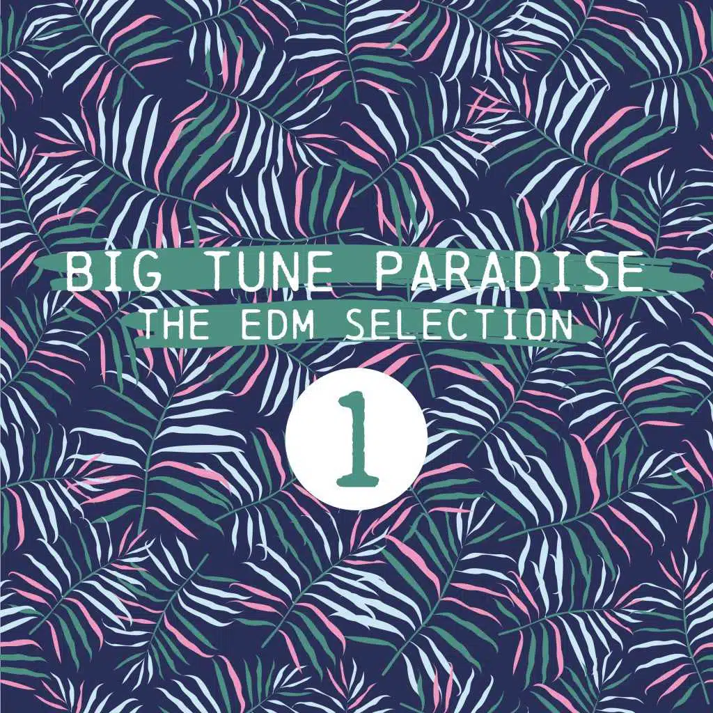 Big Tune Paradise - The EDM Selection, Vol. 1