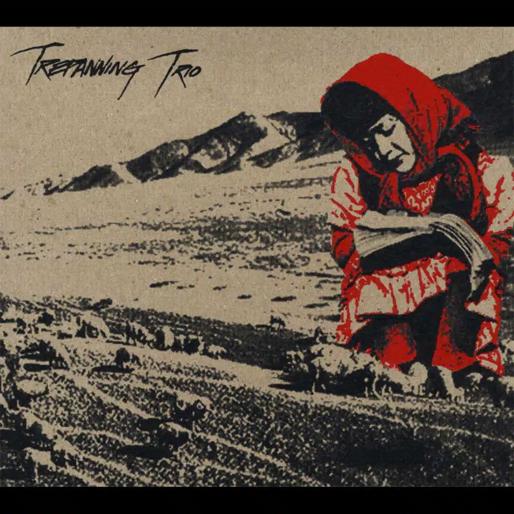 Kalimba Song for Baby Rabbits Wearing Owl Masks