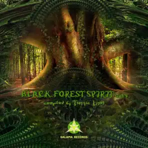 Black Forest Spirit, Vol. 5