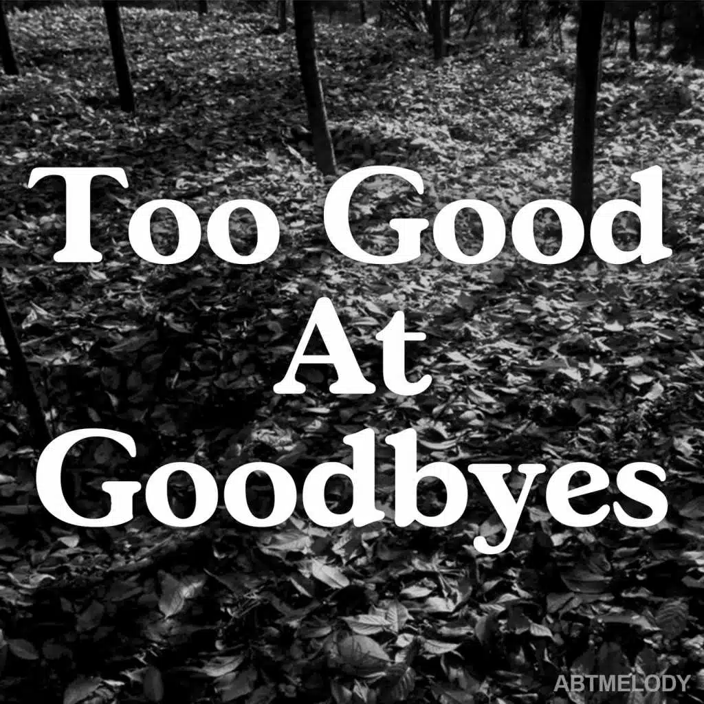 Too Good at Goodbyes