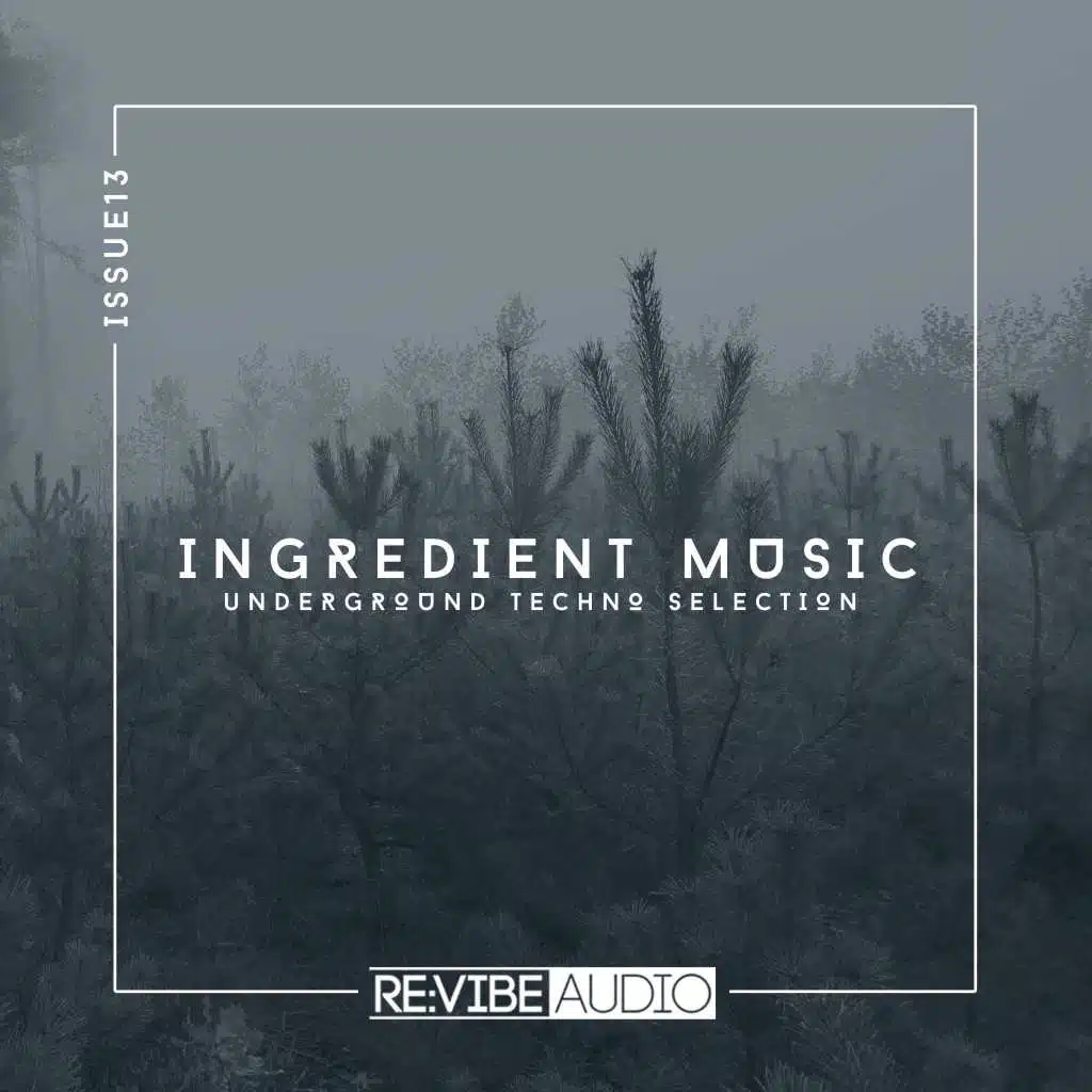 Ingredient Music, Vol. 13