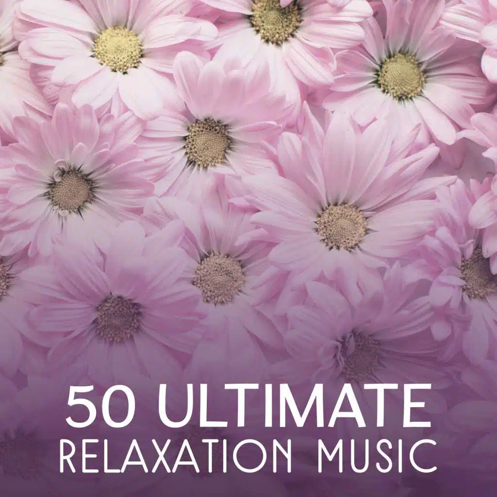 50 Ultimate Relaxation Music – Calming Nature Sounds for Zen Meditation, Stress Relief, Deep Sleep, Healing Water, Natural Self Hypnosis