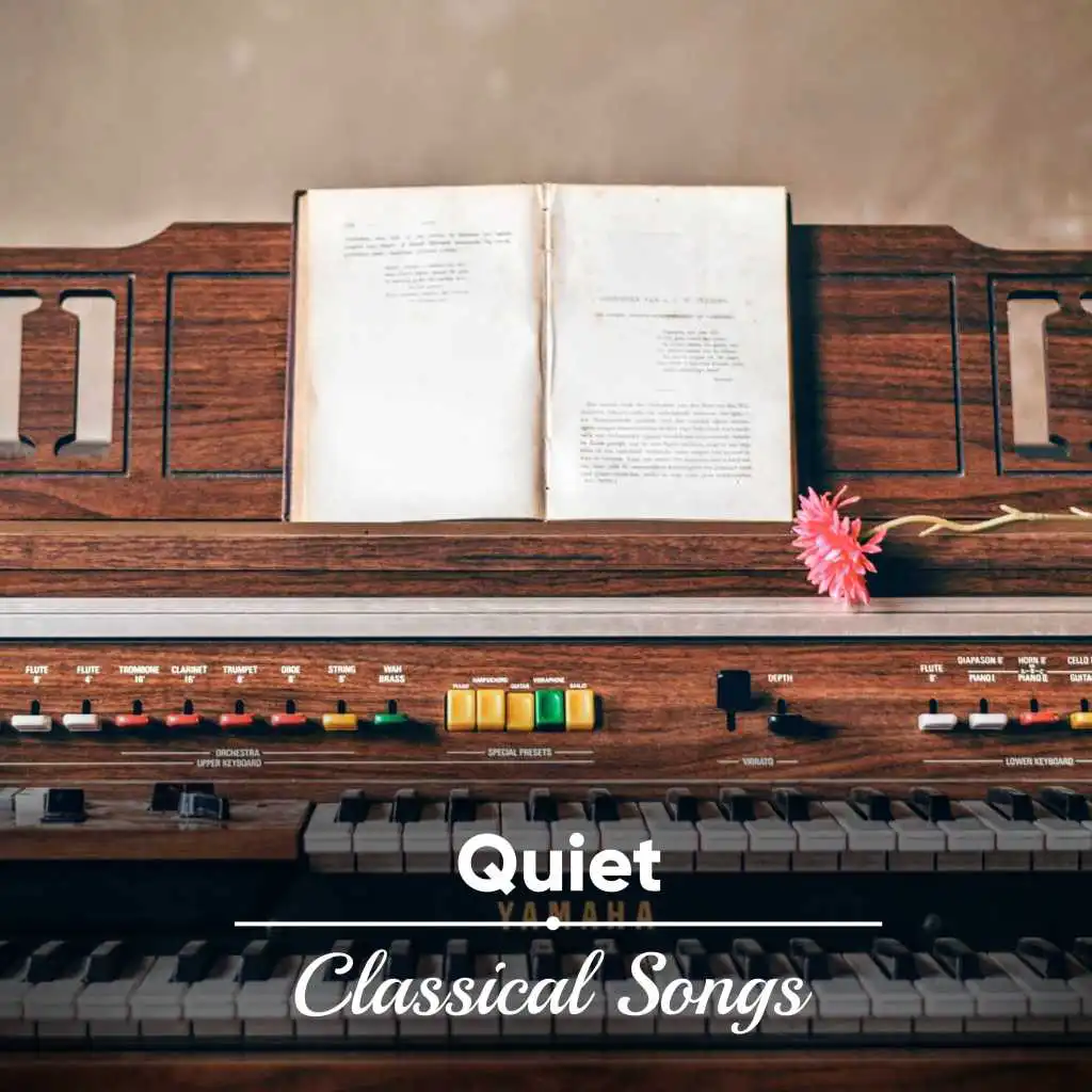 #8 Quiet Classical Songs