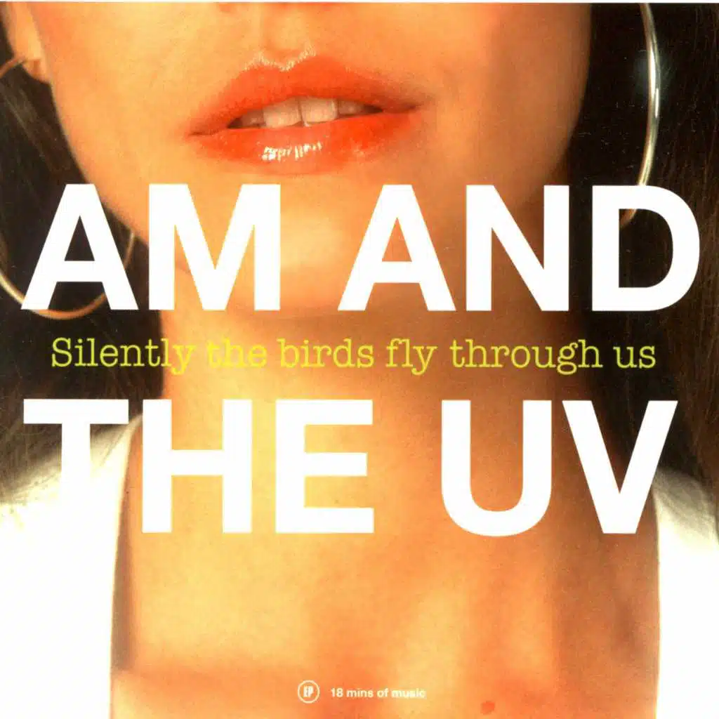 Silently the Birds Fly Through Us (feat. Anne Marie Almedal)